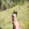 images/vertical_cucu/0/_EBB8446.jpg